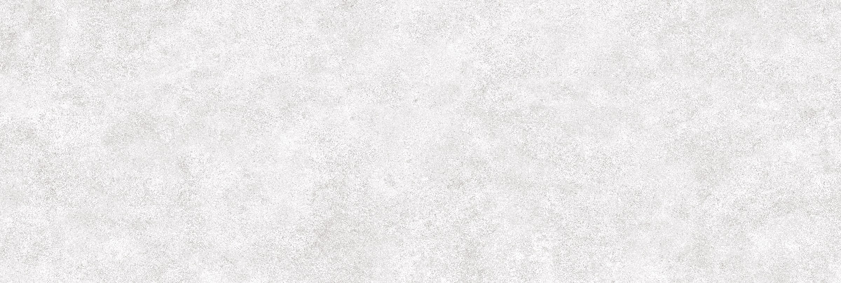 طوسی روشن/ Face1