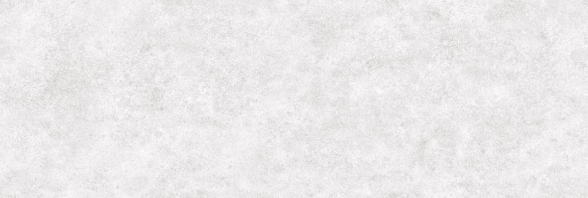 طوسی روشن/ Face2